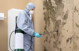 Orfordville, WI Mold Remediation Company